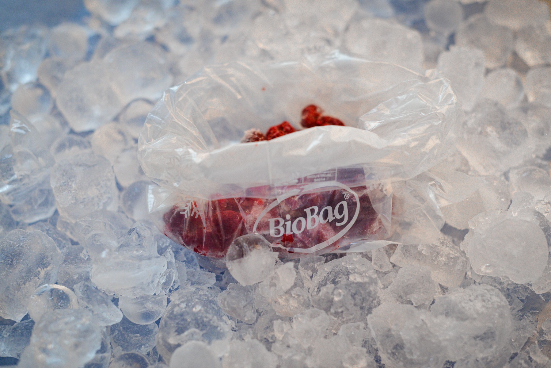 Image of Compostable Food and Freezer Bags for Compostable Food and Freezer Bags category