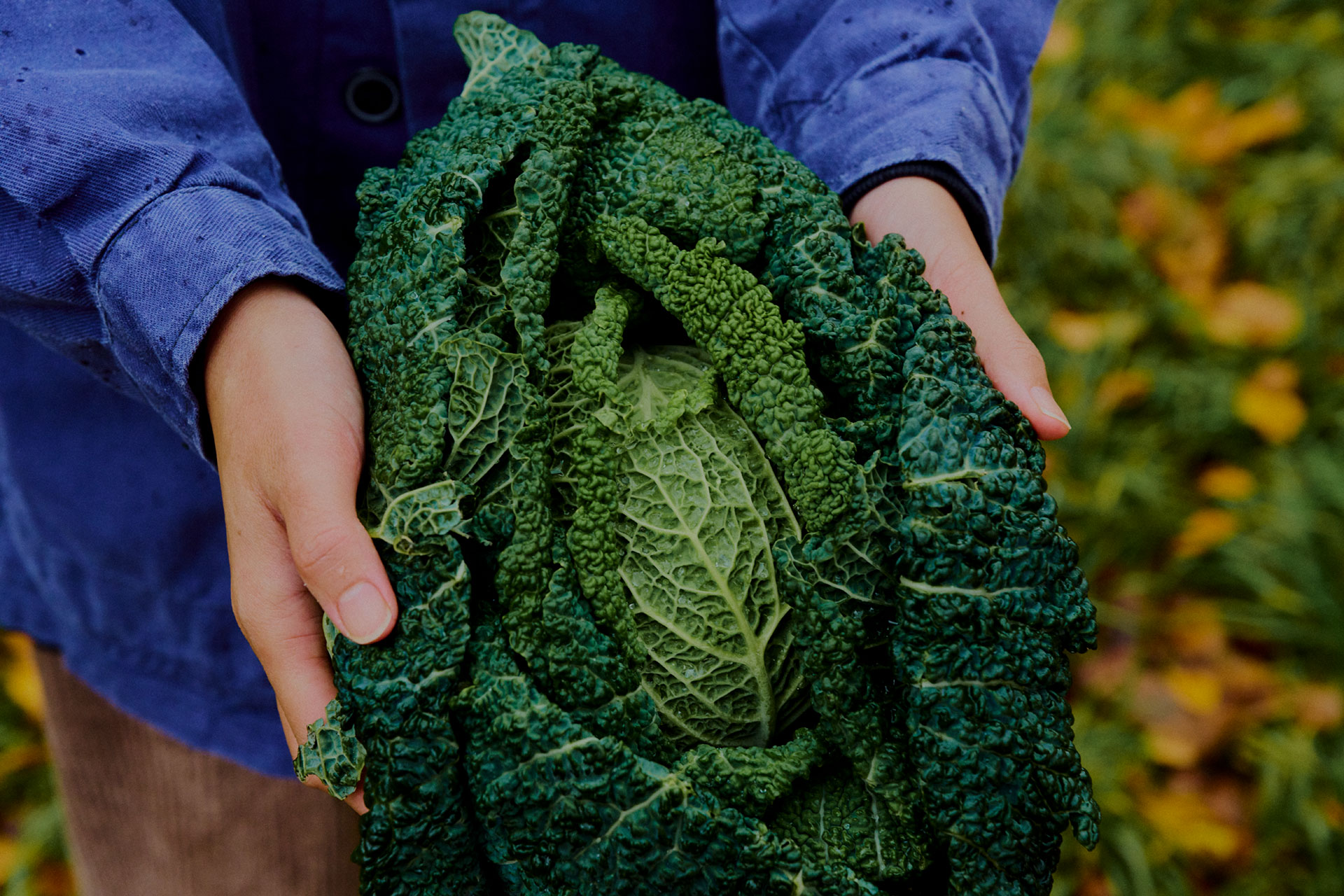 Image of Produce Bags for Produce Bags category