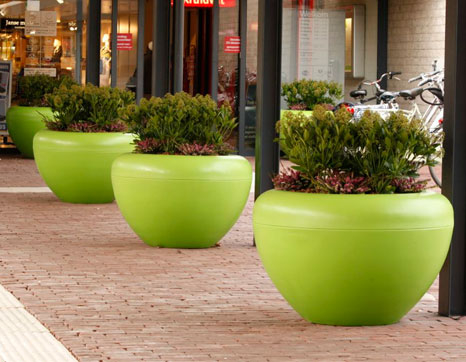 Image of Scoop plantekumme product