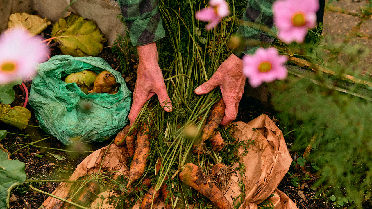 Life depends on healthy soil