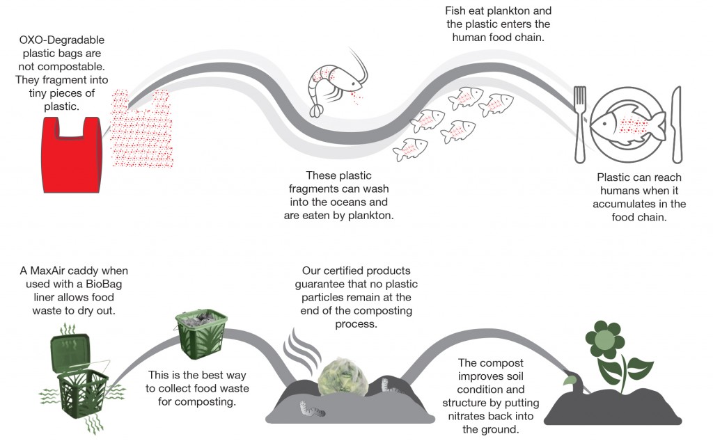 Are OXO-biodegradable plastics environmentally friendly?