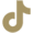 tiktok-icon